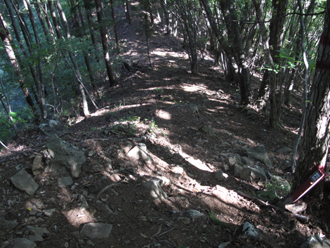 20151014hike (152)